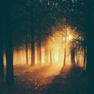 万博manbetx登录手机app下载