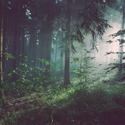 博鱼APP官方网站